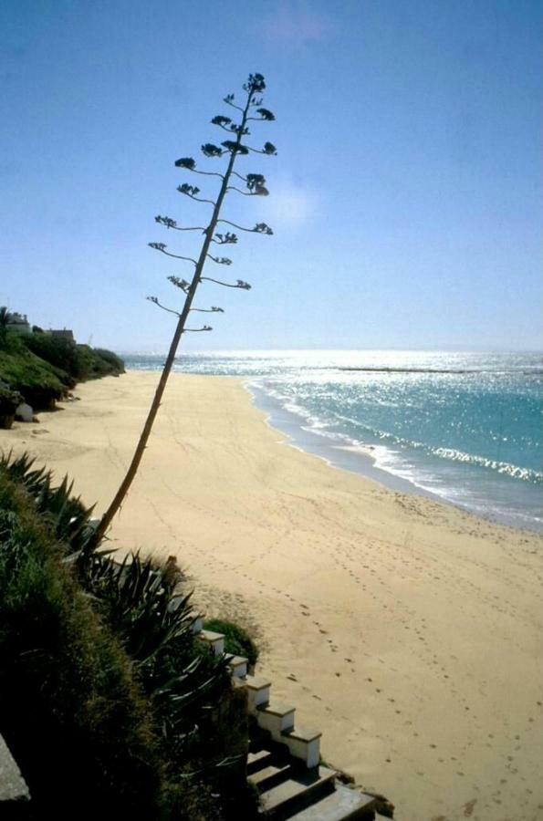 Casa "La Brena". Surf,Sol Y Relax. Villa Los Canos De Meca Ngoại thất bức ảnh
